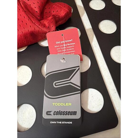 Ohio State Buckeyes 2 Piece Set TODDLER 4T Jersey And Pants New - Picture 6 of 8